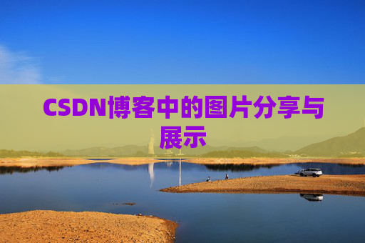 CSDN博客中的图片分享与展示